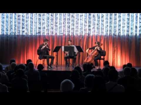 All Libitum Trio | In Extremis 1st mov. Con Movimento | Paulo Jorge Ferreira | Casa da Música