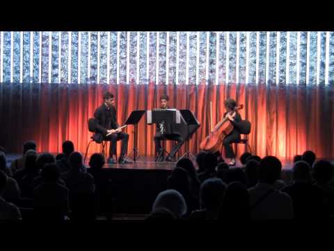 All Libitum Trio | In Extremis 2nd mov. Largo | Paulo Jorge Ferreira | Casa da Música